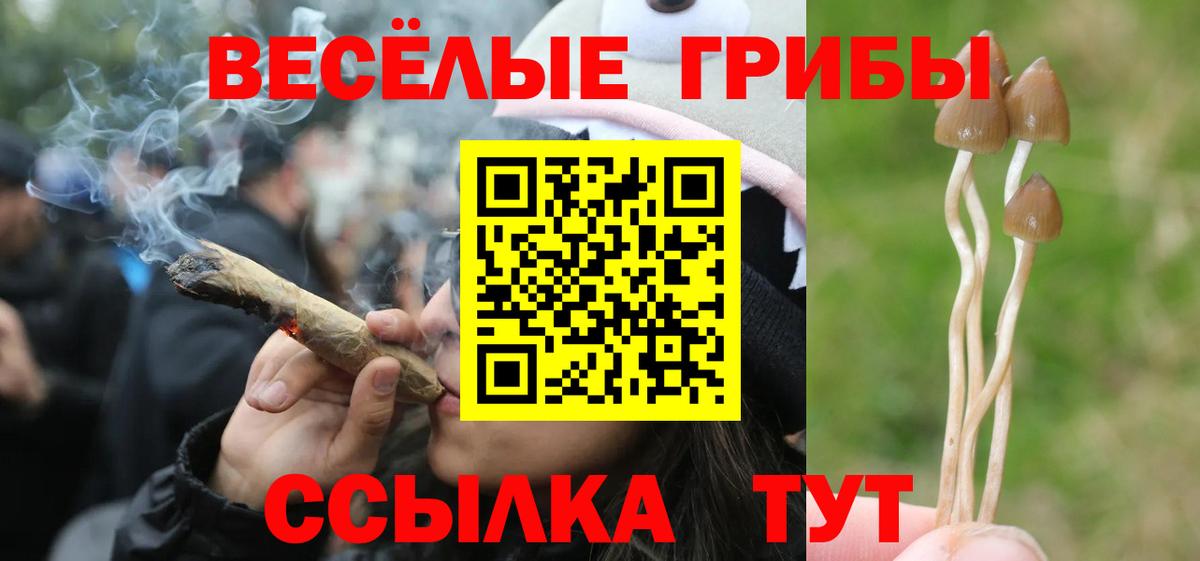 Псилоцибиновые грибы Psilocybe Нягань